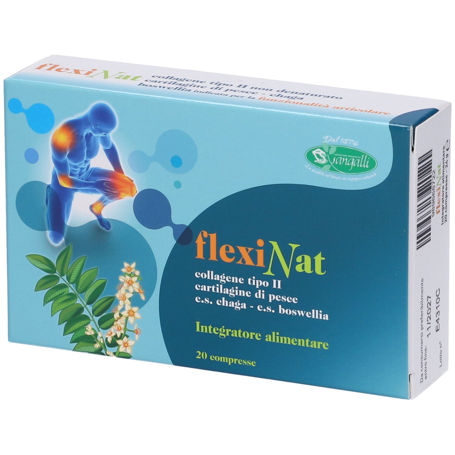 Flexinat Compresse 24 g — confronto prezzi