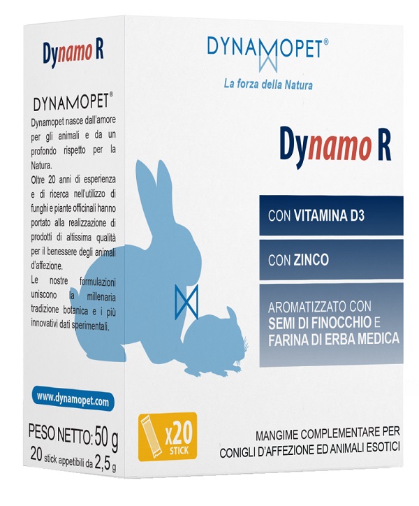 DYNAMO R 20STICK 2,5G
